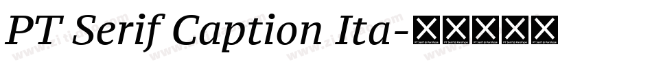 PT Serif Caption Ita字体转换